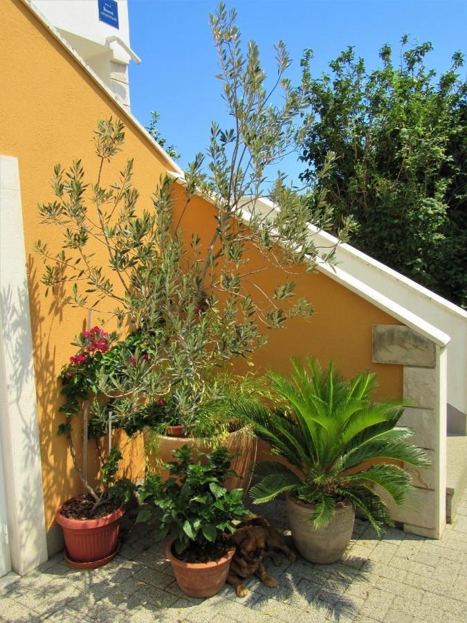 Apartment Andrea Orebic Luaran gambar